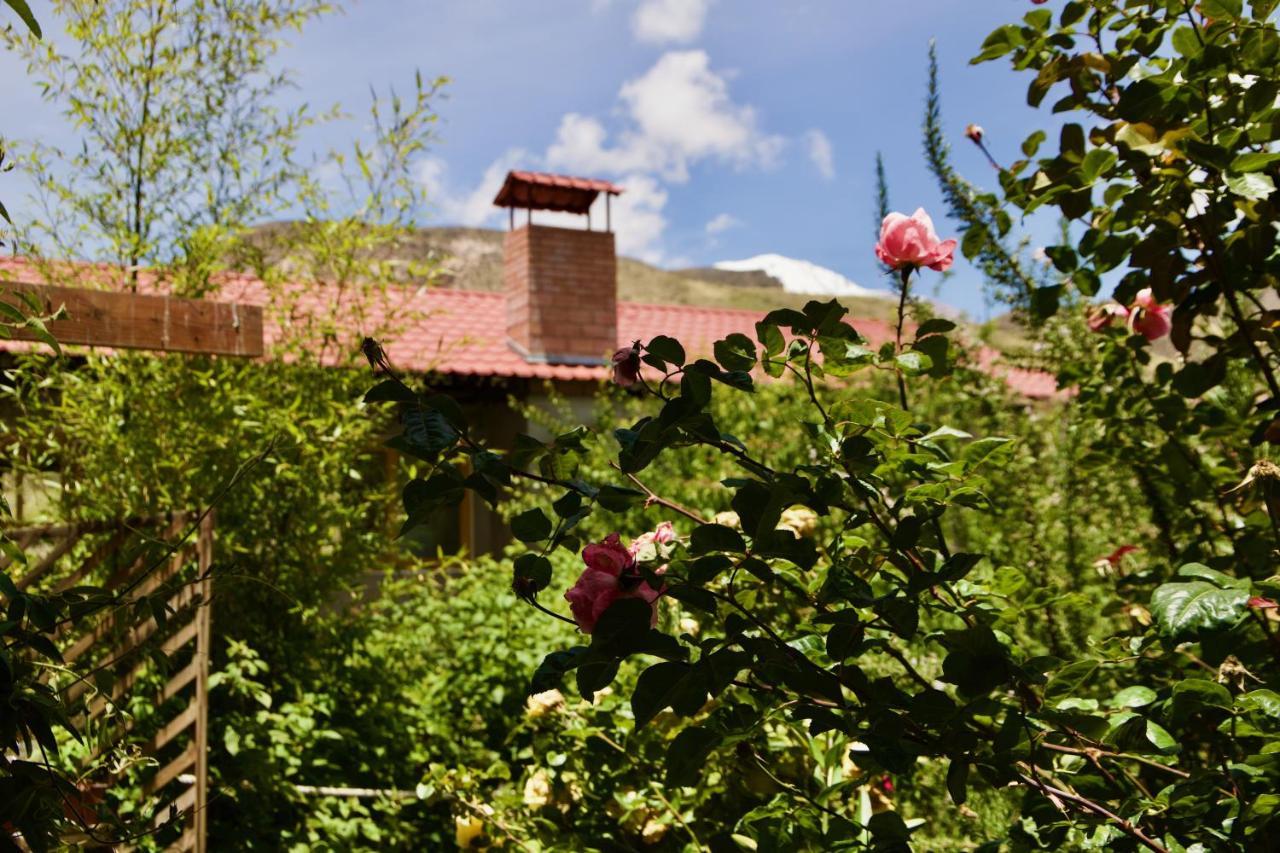 Hostal Vientos Del Altiplano Putre Luaran gambar