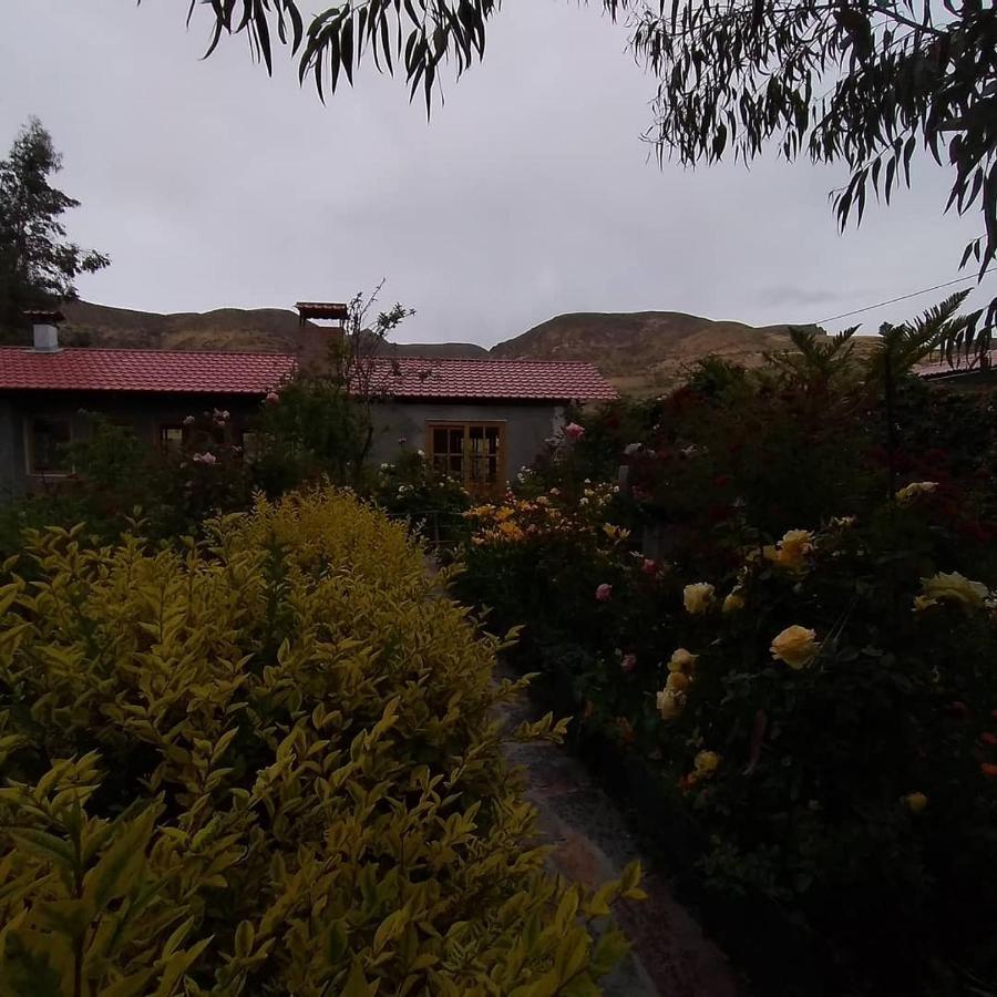 Hostal Vientos Del Altiplano Putre Luaran gambar
