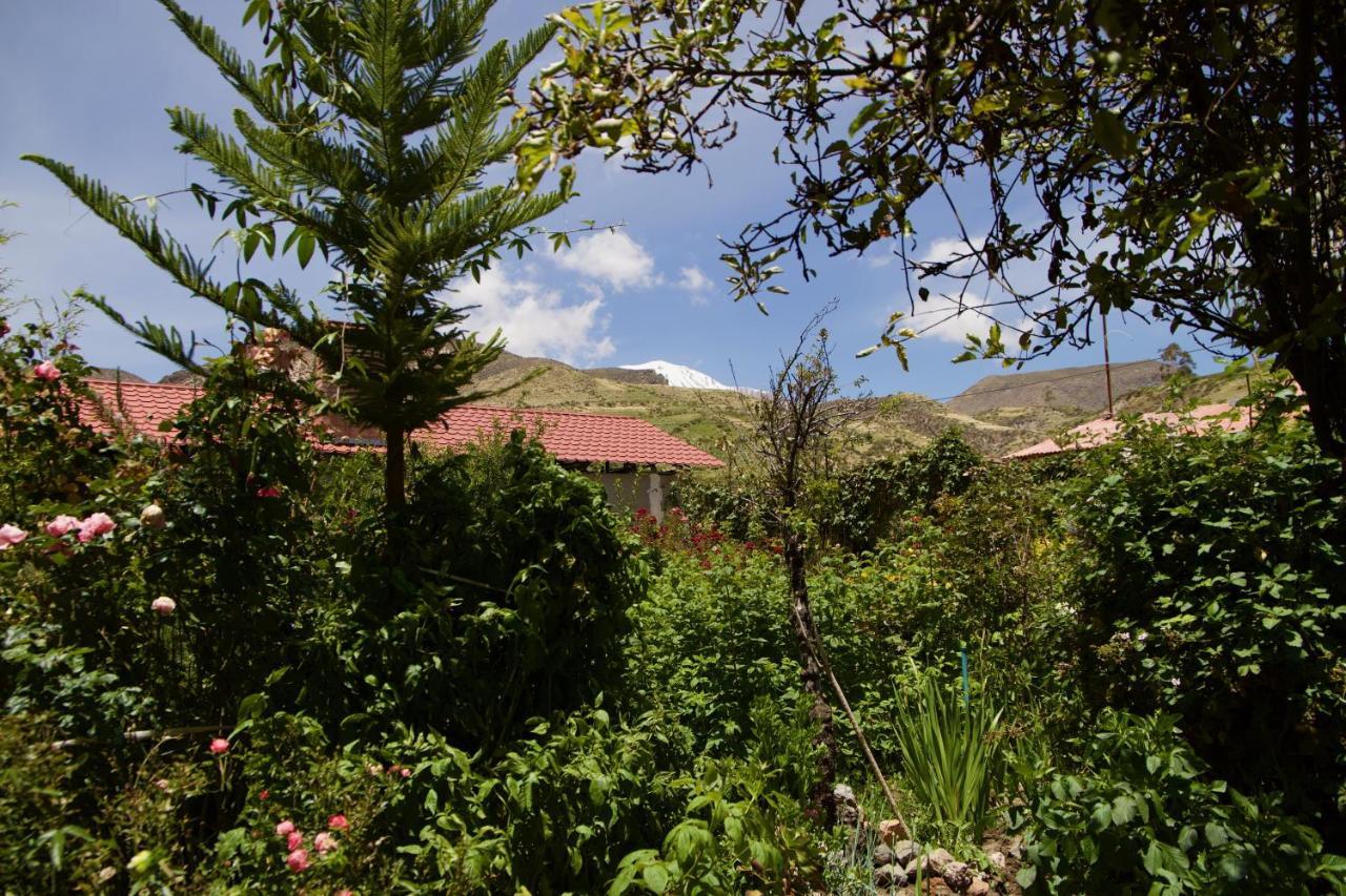 Hostal Vientos Del Altiplano Putre Luaran gambar