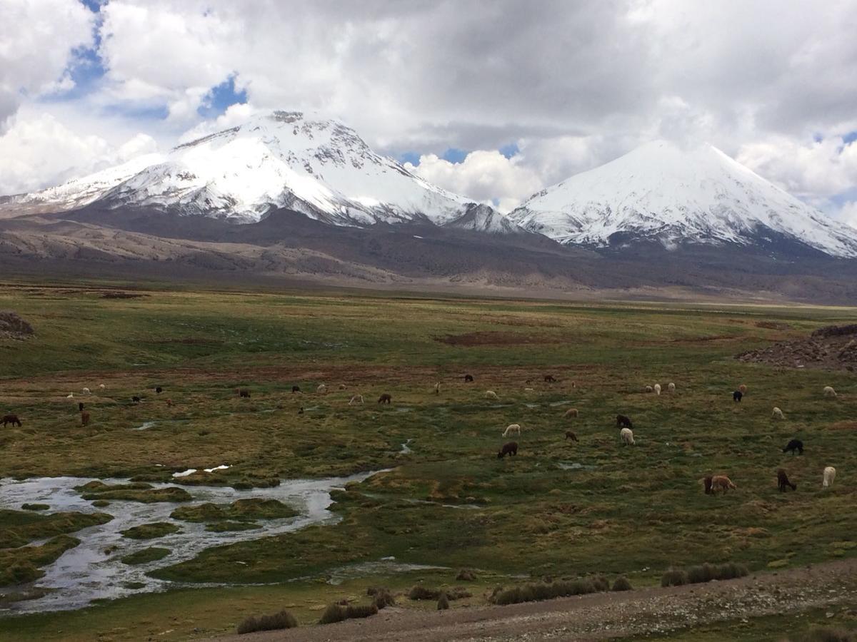Hostal Vientos Del Altiplano Putre Luaran gambar