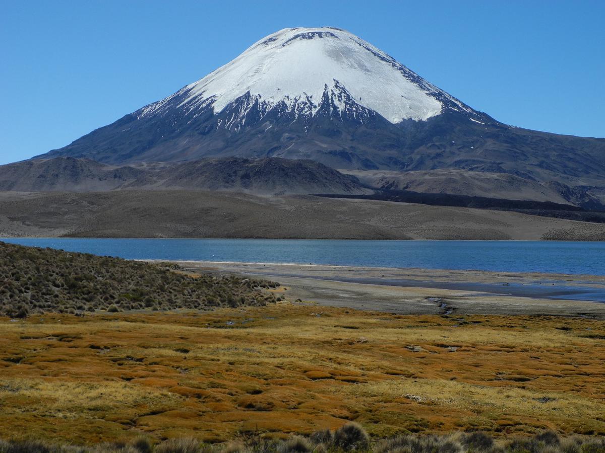 Hostal Vientos Del Altiplano Putre Luaran gambar